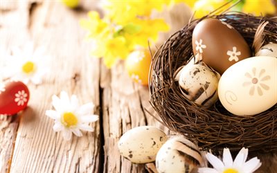 Easter eggs, nest, spring, Easter background, chamomile, Easter