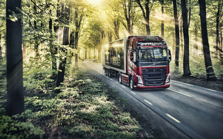 Volvo FH, 4k, forest road, HDR, 2019 trucks, LKW, Volvo FH 25 Year Edition, 2019 Volvo FH, trucks, Volvo