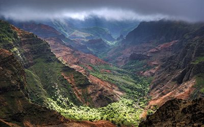 Waimea Canyon State Park, Kauai, Isole Hawaii, valle di montagna, paesaggio di montagna, foresta, USA