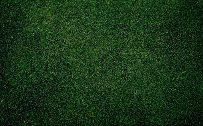 texture d&#39;herbe, de l&#39;herbe verte, l&#39;herbe verte fond, pelouse, terre, de l&#39;environnement, de l&#39;&#233;cologie, de l&#39;herbe