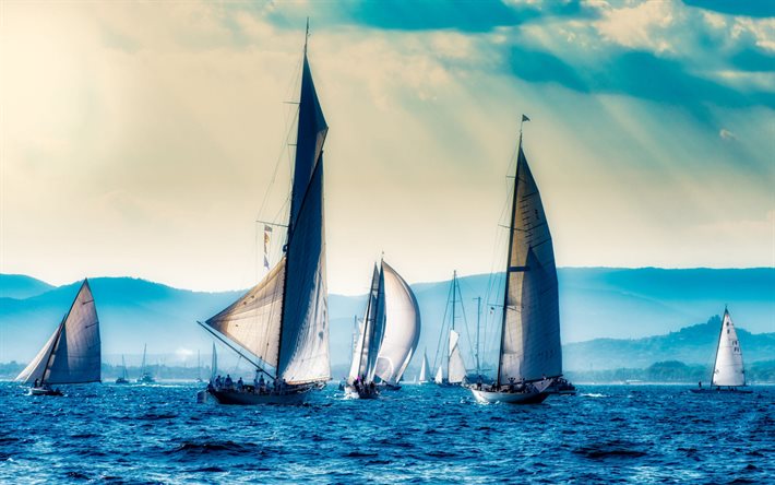 sailing regatta, sea, evening, sunset, sailboats, seascape, France