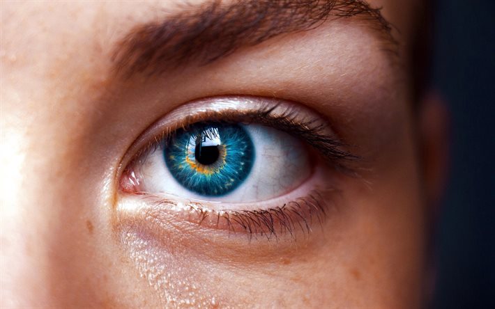 blue female eye, beautiful eyes, face, blue eyes, macro eye