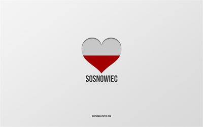 I Love Sosnowiec, Polish cities, Day of Sosnowiec, gray background, Sosnowiec, Poland, Polish flag heart, favorite cities, Love Sosnowiec