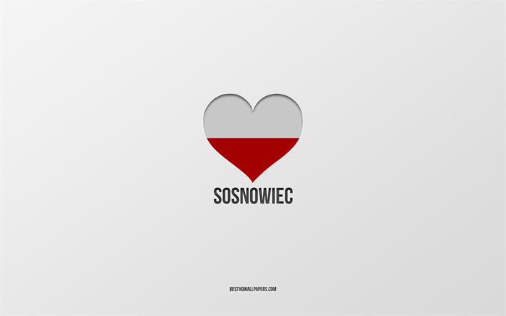 j aime sosnowiec, villes polonaises, jour de sosnowiec, fond gris, sosnowiec, pologne, coeur de drapeau polonais, villes pr&#233;f&#233;r&#233;es, love sosnowiec