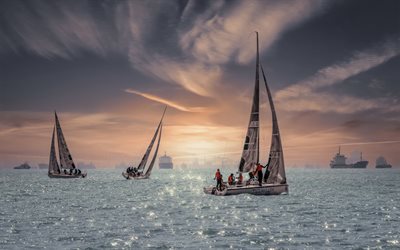 sailing regatta, evening, sunset, sailboats, yachts, seascape, sea