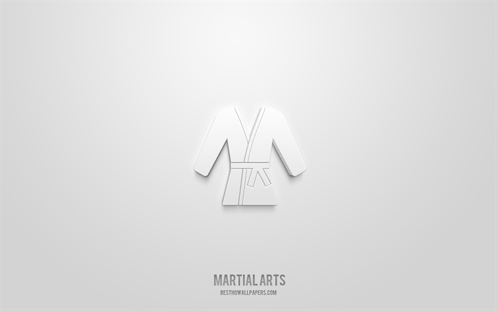 Martial arts 3d icon, white background, 3d symbols, Martial arts, sport icons, 3d icons, Martial arts sign, sport 3d icons