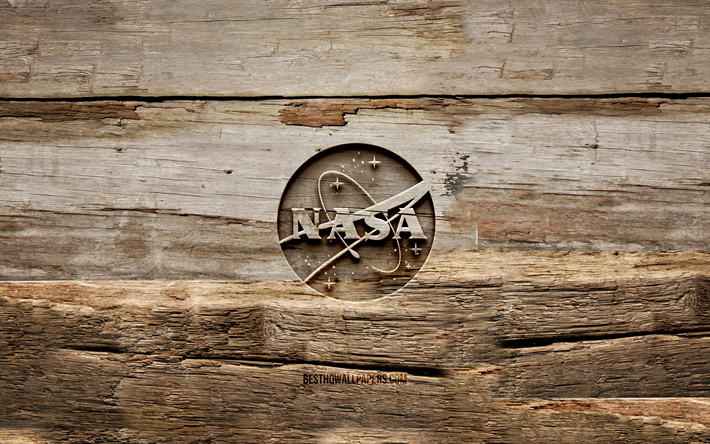 logo en bois de la nasa, 4k, arri&#232;re-plans en bois, logo de la nasa, cr&#233;atif, sculpture sur bois, nasa