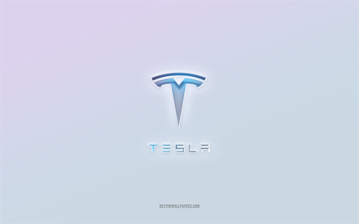 Tesla logo, cut out 3d text, white background, Tesla 3d logo, Tesla emblem, Tesla, embossed logo, Tesla 3d emblem