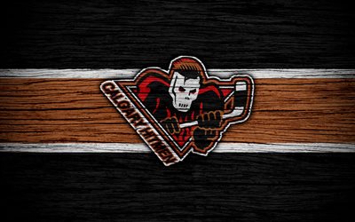 4k, Calgary Hitmen, logo, WHL, hockey, Canada, emblem, wooden texture, Western Hockey League