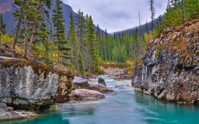 Tokumm Creek, montagna, fiume, foresta, paesaggio di montagna, Marble Canyon, Kootenay National Park, montagne Rocciose del canada, Columbia Britannica, Canada