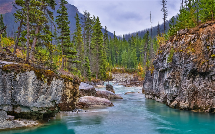 Download Wallpapers Tokumm Creek Mountain River Forest Mountain Landscape Marble Canyon Kootenay National Park Canadian Rockies British Columbia Canada For Desktop Free Pictures For Desktop Free