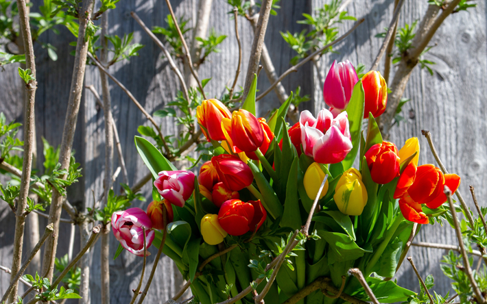 Scarica sfondi primavera, 4k, tulipani, mazzo, fiori di ...