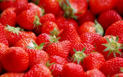 strawberry, fruit, berries, harvest, vitamins, red strawberries