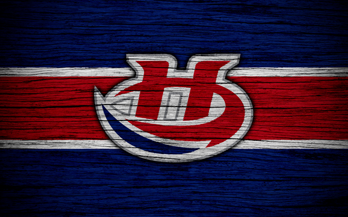 4k, Lethbridge Uragani, logo, WHL, hockey, Canada, emblema, di legno, texture, Western Hockey League