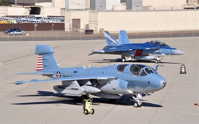 Grumman EA-6 Prowler, Boeing EA-18 Growler, military aerodrome, combat aviation, US Air Force, USA, EA-6B Prowler, EA-18G Growler