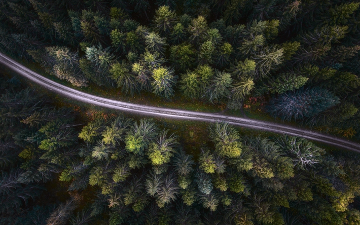 緑の森, トップビュー, ツリートップ, 林道, 汚れの道, からの眺望quadrocopter, オムサロ-ネイチャー-ビューから