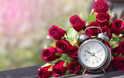 red roses, alarm clock, beautiful roses, bouquet of red flowers, romance