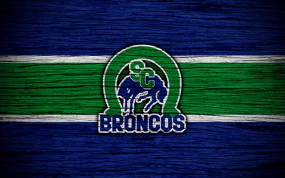 4k, Swift Current Broncos, logo, WHL, j&#228;&#228;kiekko, Kanada, tunnus, puinen rakenne, Western Hockey League