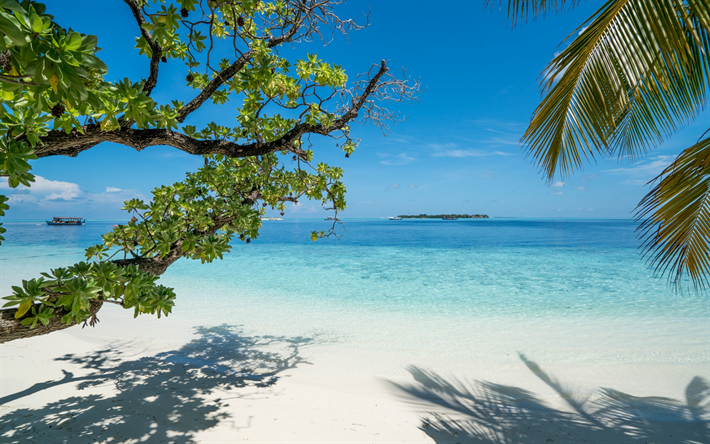 praia, oceano, palmeiras, ilha tropical, Bora Bora, viagens de ver&#227;o, lagoa azul