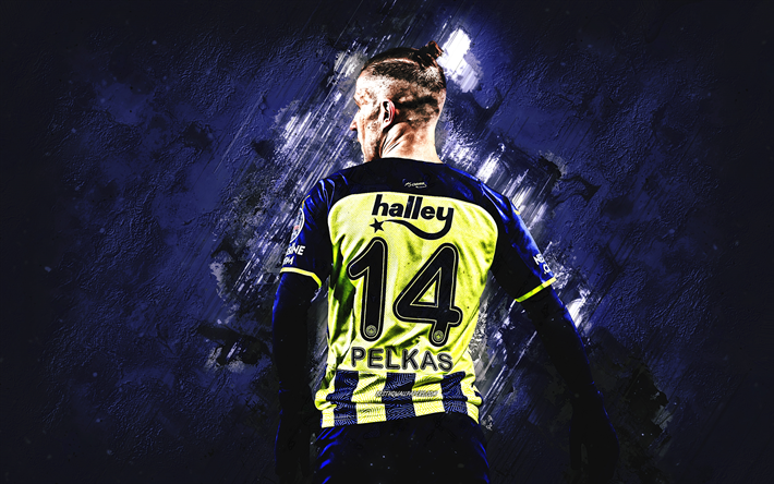 Dimitrios Pelkas, Fenerbahce, Greek football player, midfielder, blue stone background, Turkey, football