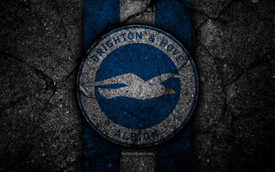 Brighton FC, 4k, logo, Premier League, grunge, Englanti, asfaltti rakenne, Brighton, musta kivi, jalkapallo, FC Brighton