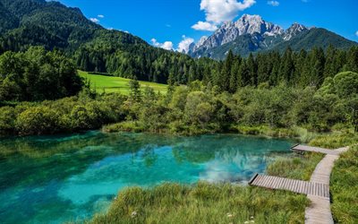 Kranjska Gora, mountain glacial lake, spring, mountain landscape, green grass, Zelenci, Slovenia