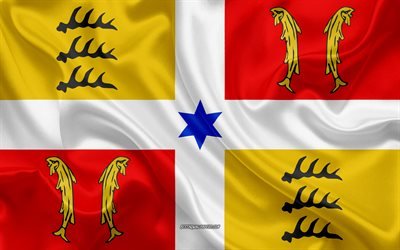 علم مونبيليار, 4k, المنطقة الفرنسية, الحرير العلم, مناطق فرنسا, نسيج الحرير, مونبيليار العلم, الفنون الإبداعية, مونبيليار, فرنسا
