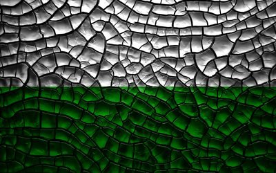 Flag of Styria, 4k, austrian states, cracked soil, Austria, Styria flag, 3D art, Styria, States of Austria, administrative districts, Styria 3D flag