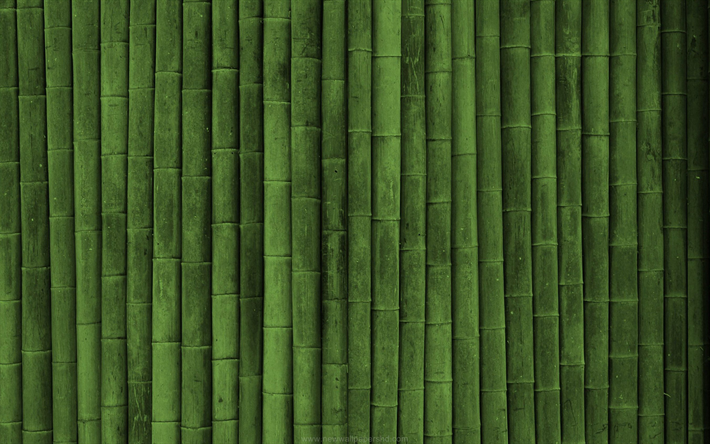 bambusoideae sticks, macro, vertical bamboo texture, bamboo textures, bamboo canes, bamboo sticks, green wooden background, bamboo
