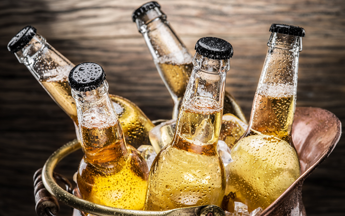 la cerveza, hielo, botellas de cerveza en el hielo, botellas de vidrio, cerveza conceptos