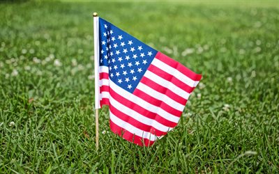 USA flag, small flag, hand USA flag, green grass, American flag, USA, US flag, United States of America