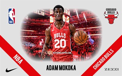 Adam Mokoka, Chicago Bulls, French Basketball Player, NBA, portrait, USA, basketball, United Center, Chicago Bulls logo