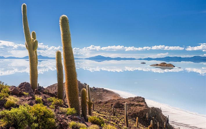 Cujiri, Salar de Uyuni, Isla del Pescado, Lake Eyre, cactus, dried salt lake, sky, mountain landscape, Daniel Campos Province, Bolivia, Caquena Canton