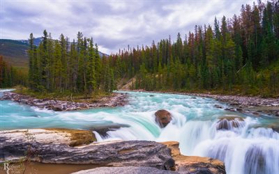 Sunwapta Falls, Sunwapta River, mountain river, blue river, forest, mountain landscape, Jasper National Park, Alberta, Canada