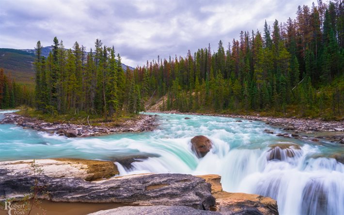 Sunwapta Falls, Sunwapta Nehir, dağ Nehri, mavi nehir, orman, dağ manzarası, Jasper Ulusal Park, Alberta, Kanada
