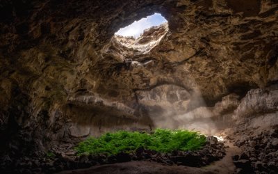 beautiful cave, hole in the ceiling, sunlight, fern, rocks, secret places, environment concepts, Earth