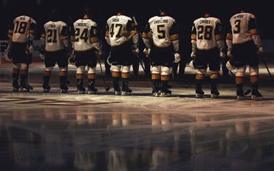 Vegas Golden Knights, NHL, American squadra di hockey su ghiaccio, USA, ghiaccio, hockey stadium, Brayden McNabb, James Neal, Deryk Engelland, Luca Sbisa, Cody Eakin