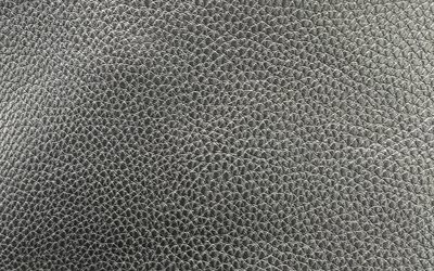 gray leather background, leather patterns, leather textures, gray leather texture, gray backgrounds, leather backgrounds, macro, leather