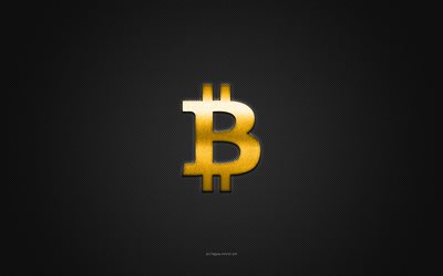 Bitcoin logo, yellow shiny logo, Bitcoin metal emblem, gray carbon fiber texture, Bitcoin, brands, creative art, Bitcoin emblem