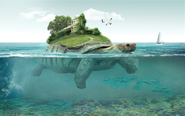 tortue, mer, &#238;le, une maison, un monde sous-marin