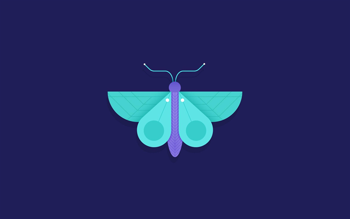 blue butterfly, creative, art, minimal