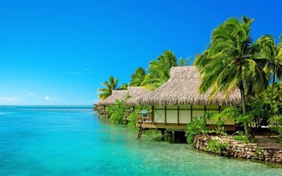 Maldives, Tropical islands, beach, palms, travel, rest, summer, tropics