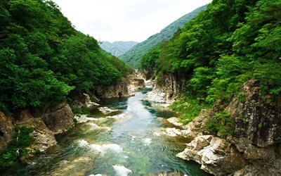 Rio de montanha, pedras, floresta, montanhas, Jap&#227;o, natureza do Jap&#227;o