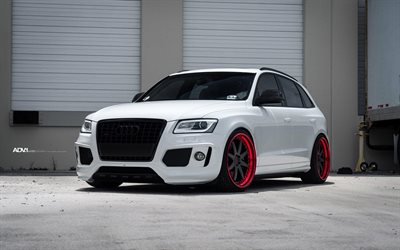 Audi Q5, tuning, 2018 cars, ADV1 Wheels, crossovers, new Q5, forest, Audi