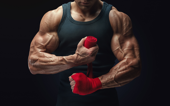 de musculation, salle de sport, athl&#232;te, bodybuilder, les biceps, les bras, les muscles