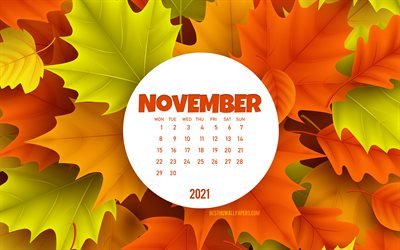 2021 نوفمبر التقويم, 4 ك, الخلفية مع أوراق الخريف, تقويم نوفمبر 2021, 2021 مفاهيم, تقويمات 2021, نوفمبر