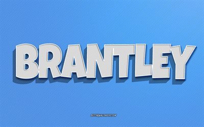 Brantley, mavi &#231;izgiler arka plan, adları olan duvar kağıtları, Brantley adı, erkek isimleri, Brantley tebrik kartı, hat sanatı, Brantley adıyla resim