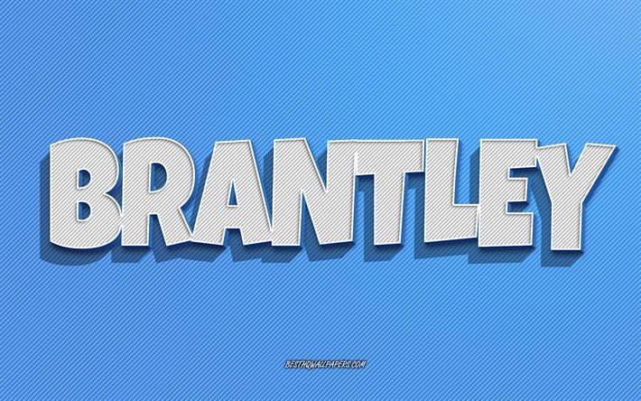 Brantley, fond de lignes bleues, fonds d&#39;&#233;cran avec des noms, nom Brantley, noms masculins, carte de voeux Brantley, dessin au trait, photo avec nom Brantley