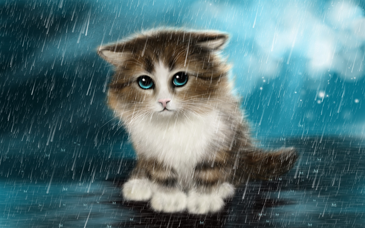 cat, kitten, rain, alone cat, cute animals