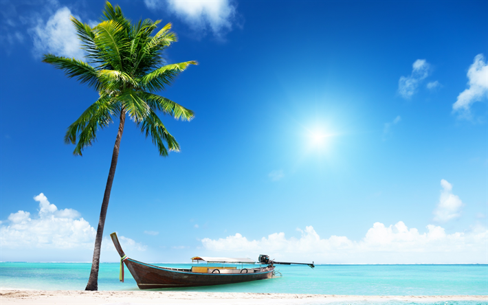 Tropical island, Thailand, ocean, beach, palm trees, boat, summer travels